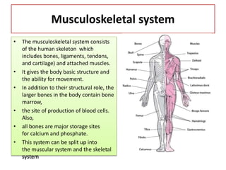 Human body structure / Human Anatomy and Physiology | PPTX