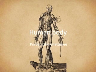 Human body
Purbangshu Chatterjee
 