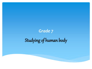 Grade 7
Studying of human body
 