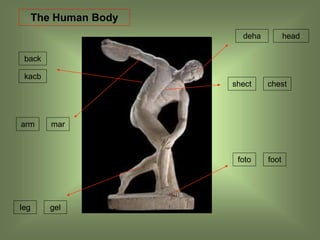 The Human Body
deha
shect
gel
mar
foto
head
chest
foot
leg
arm
kacb
back
 