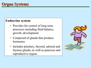 Human physiology and organ system funtions | PPT