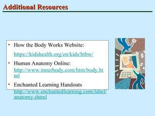 Understanding the Human Body and Its Systems | PPT
