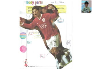 Human Body - Arts & Crafts