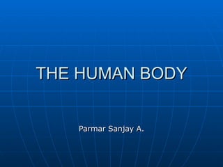THE HUMAN BODY


   Parmar Sanjay A.
 