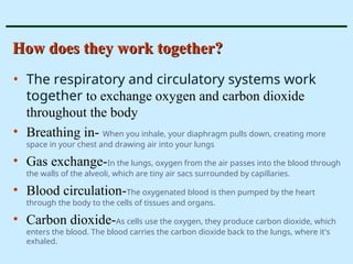 How does they work together?
How does they work together?
• The respiratory and circulatory systems work
together to exchange oxygen and carbon dioxide
throughout the body
• Breathing in- When you inhale, your diaphragm pulls down, creating more
space in your chest and drawing air into your lungs
• Gas exchange-In the lungs, oxygen from the air passes into the blood through
the walls of the alveoli, which are tiny air sacs surrounded by capillaries.
• Blood circulation-The oxygenated blood is then pumped by the heart
through the body to the cells of tissues and organs.
• Carbon dioxide-As cells use the oxygen, they produce carbon dioxide, which
enters the blood. The blood carries the carbon dioxide back to the lungs, where it's
exhaled.
 