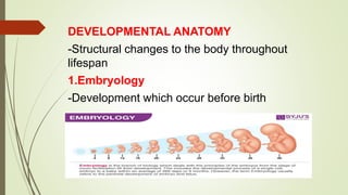 DEVELOPMENTAL ANATOMY
-Structural changes to the body throughout
lifespan
1.Embryology
-Development which occur before birth
 