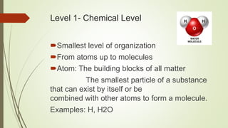 Level 1- Chemical Level
Smallest level of organization
From atoms up to molecules
Atom: The building blocks of all matter
The smallest particle of a substance
that can exist by itself or be
combined with other atoms to form a molecule.
Examples: H, H2O
 