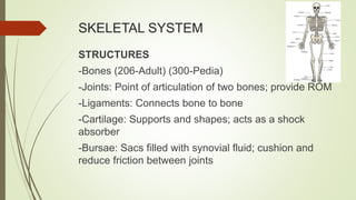 SKELETAL SYSTEM
STRUCTURES
-Bones (206-Adult) (300-Pedia)
-Joints: Point of articulation of two bones; provide ROM
-Ligaments: Connects bone to bone
-Cartilage: Supports and shapes; acts as a shock
absorber
-Bursae: Sacs filled with synovial fluid; cushion and
reduce friction between joints
 