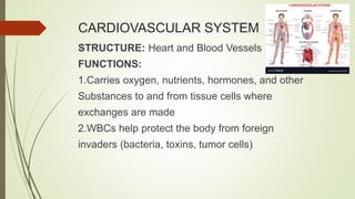 CARDIOVASCULAR SYSTEM
STRUCTURE: Heart and Blood Vessels
FUNCTIONS:
1.Carries oxygen, nutrients, hormones, and other
Substances to and from tissue cells where
exchanges are made
2.WBCs help protect the body from foreign
invaders (bacteria, toxins, tumor cells)
 
