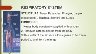 RESPIRATORY SYSTEM
STRUCTURE: Nasal Passages, Pharynx, Larynx
(vocal cords), Trachea, Bronchi and Lungs
FUNCTIONS:
1.Keeps body constantly supplied with oxygen
2.Removes carbon dioxide from the body
3.Thin walls of the air sacs allows gases to be trans-
ported to and from the lungs
 