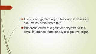 Liver is a digestive organ because it produces
bile, which breakdown fats
Pancreas delivers digestive enzymes to the
small intestines, functionally a digestive organ
 