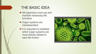 THE BASIC IDEA
 All organisms must use and
maintain necessary life
functions
 Organ systems are
interdependent
 It is important to establish
which organ systems are
most directly related to
each life fnction
 
