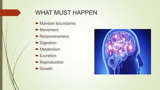 WHAT MUST HAPPEN
 Maintain boundaries
 Movement
 Responsiveness
 Digestion
 Metabolism
 Excretion
 Reproduction
 Growth
 