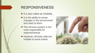 RESPONSIVENESS
 It is also called as irritability
 It is the ability to sense
changes in the environment
and react to them
 The nervous system is the
most responsible for
responsiveness
 However, all body cells are
irritable to some extent
 