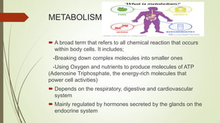 METABOLISM
 A broad term that refers to all chemical reaction that occurs
within body cells. It includes;
-Breaking down complex molecules into smaller ones
-Using Oxygen and nutrients to produce molecules of ATP
(Adenosine Triphosphate, the energy-rich molecules that
power cell activities)
 Depends on the respiratory, digestive and cardiovascular
system
 Mainly regulated by hormones secreted by the glands on the
endocrine system
 