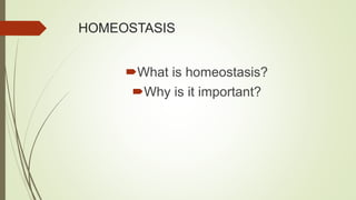 HOMEOSTASIS
What is homeostasis?
Why is it important?
 