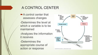 A CONTROL CENTER
A control center that
assesses changes
-Determines the level at
which a variable is to be
maintained
-Analyzes the information
it receives
-Determines the
appropriate course of
action or response
 