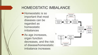 HOMEOSTATIC IMBALANCE
Homeostatic is so
important that most
diseases can be
regarded as
homeostatic
imbalances
As age increases,
organ function
decreases, and the risk
of disease/homeostatic
imbalance increases
 