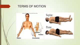 TERMS OF MOTION
 