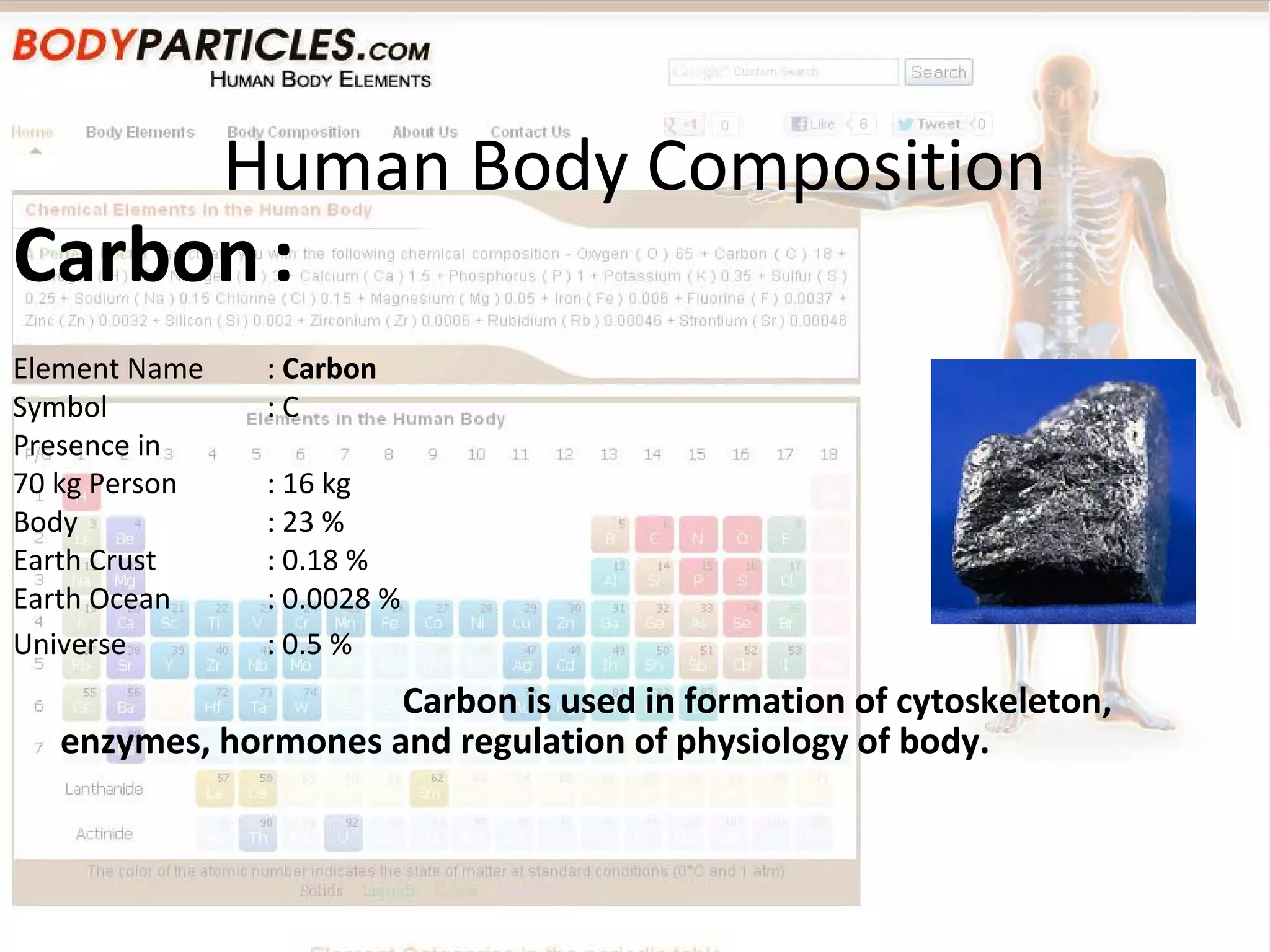 Human Body Elements | PPT