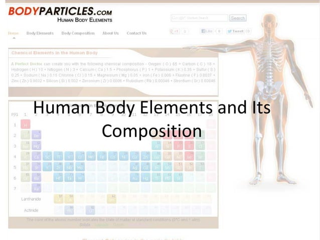 Human Body Elements | PPT