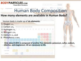 Human Body Elements | PPT