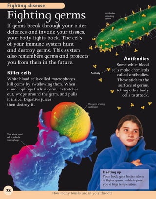 Human body encyclopedia | PDF