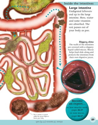 Human body encyclopedia | PDF