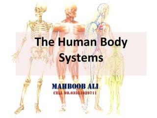 The Human Body
Systems
 