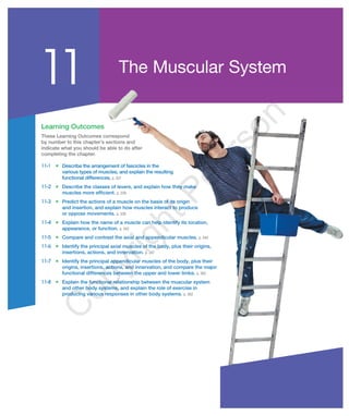 The Muscular System
11
Learning Outcomes
These Learning Outcomes correspond
by number to this chapter’s sections and
indicate what you should be able to do after
completing the chapter.
11-1 ■ Describe the arrangement of fascicles in the
various types of muscles, and explain the resulting
functional differences. p. 337
11-2 ■ Describe the classes of levers, and explain how they make
muscles more efficient. p. 339
11-3 ■ Predict the actions of a muscle on the basis of its origin
and insertion, and explain how muscles interact to produce
or oppose movements. p. 339
11-4 ■ Explain how the name of a muscle can help identify its location,
appearance, or function. p. 343
11-5 ■ Compare and contrast the axial and appendicular muscles. p. 344
11-6 ■ Identify the principal axial muscles of the body, plus their origins,
insertions, actions, and innervation. p. 347
11-7 ■ Identify the principal appendicular muscles of the body, plus their
origins, insertions, actions, and innervation, and compare the major
functional differences between the upper and lower limbs. p. 362
11-8 ■ Explain the functional relationship between the muscular system
and other body systems, and explain the role of exercise in
producing various responses in other body systems. p. 382
Learning Outcomes
These Learning Outcomes correspond
by number to this chapter’s sections and
indicate what you should be able to do after
completing the chapter.
Describe the arrangement of fascicles in the
various types of muscles, and explain the resulting
functional differences. p. 337
Describe the classes of levers, and explain how they make
muscles more efficient. p. 339
Predict the actions of a muscle on the basis of its origin
and insertion, and explain how muscles interact to produce
or oppose movements. p. 339
Explain how the name of a muscle can help identify its location,
appearance, or function. p. 343
Compare and contrast the axial and appendicular muscles. p. 344
Identify the principal axial muscles of the body, plus their origins,
insertions, actions, and innervation. p. 347
Identify the principal appendicular muscles of the body, plus their
origins, insertions, actions, and innervation, and compare the major
functional differences between the upper and lower limbs. p. 362
Explain the functional relationship between the muscular system
and other body systems, and explain the role of exercise in
producing various responses in other body systems. p. 382
M11_MART6026_11_SE_C11_pp336-388.indd 336 20/10/16 8:10 PM
C
opyrightPearson
 
