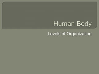 Human Body Levels of Organization 