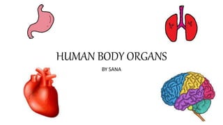HUMAN BODY ORGANS
BY SANA
 