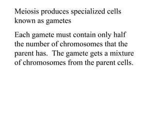 Meiosis produces specialized cells 
known as gametes 
Each gamete must contain only half 
the number of chromosomes that the 
parent has. The gamete gets a mixture 
of chromosomes from the parent cells. 
 
