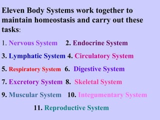 Eleven Body Systems work together to 
maintain homeostasis and carry out these 
tasks: 
1. Nervous System 2. Endocrine System 
3. Lymphatic System 4. Circulatory System 
5. Respiratory System 6. Digestive System 
7. Excretory System 8. Skeletal System 
9. Muscular System 10. Integumentary System 
11. Reproductive System 
 