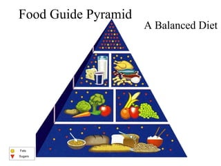 Food Guide Pyramid 
Fats 
Sugars 
A Balanced Diet 
 