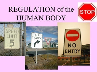 REGULATION of the 
HUMAN BODY 
 