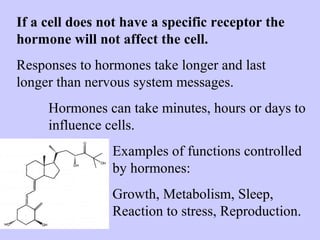 If a cell does not have a specific receptor the 
hormone will not affect the cell. 
Responses to hormones take longer and last 
longer than nervous system messages. 
Hormones can take minutes, hours or days to 
influence cells. 
Examples of functions controlled 
by hormones: 
Growth, Metabolism, Sleep, 
Reaction to stress, Reproduction. 
 