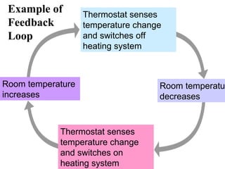 Example of 
Feedback 
Loop 
Room temperature 
increases 
Thermostat senses 
temperature change 
and switches off 
heating system 
Thermostat senses 
temperature change 
and switches on 
heating system 
Room temperature 
decreases 
Section 35-1 
 