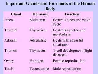 Important Glands and Hormones of the Human 
Body 
Gland Hormone Function 
Pineal Melatonin Controls sleep and wake 
cycle 
Thyroid Thyroxine Controls appetite and 
metabolism 
Adrenal Adrenaline Deals with stressful 
situations 
Thymus Thymosin T-cell development (fight 
diseases) 
Ovary Estrogen Female reproduction 
Testis Testosterone Male reproduction 
 