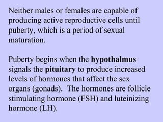 Neither males or females are capable of 
producing active reproductive cells until 
puberty, which is a period of sexual 
maturation. 
Puberty begins when the hypothalmus 
signals the pituitary to produce increased 
levels of hormones that affect the sex 
organs (gonads). The hormones are follicle 
stimulating hormone (FSH) and luteinizing 
hormone (LH). 
 