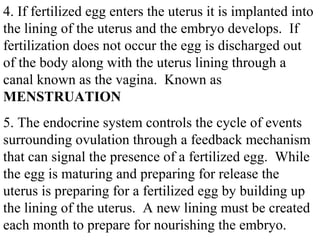 4. If fertilized egg enters the uterus it is implanted into 
the lining of the uterus and the embryo develops. If 
fertilization does not occur the egg is discharged out 
of the body along with the uterus lining through a 
canal known as the vagina. Known as 
MENSTRUATION 
5. The endocrine system controls the cycle of events 
surrounding ovulation through a feedback mechanism 
that can signal the presence of a fertilized egg. While 
the egg is maturing and preparing for release the 
uterus is preparing for a fertilized egg by building up 
the lining of the uterus. A new lining must be created 
each month to prepare for nourishing the embryo. 
 