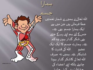 ‫ن‬ ‫شمار‬ ‫بے‬ ‫ہمیں‬ ‫نے‬ ٰ‫تعالی‬‫ہللا‬‫عمتیں‬
‫سے‬ ‫میں‬ ‫جن‬ ‫ہیں‬ ‫فرمائی‬ ‫عطا‬
،‫ےہ‬ ‫بھی‬ ‫جسم‬ ‫ا‬‫ر‬‫ہما‬ ‫ایک‬
‫ج‬ ‫کے‬ ‫ب‬‫ر‬ ‫اپےن‬‫ہم‬ ‫لئے‬‫کے‬ ‫جس‬‫تےن‬
‫کم‬ ‫وہ‬ ‫ں‬‫ہو‬ ‫گذار‬ ‫شکر‬ ‫بھی‬
‫ایک‬ ‫ایک‬‫کا‬‫جسم‬ ‫ے‬‫ر‬‫ہما‬ ‫ےہ۔‬
‫کا‬ ‫ت‬‫ر‬‫قد‬ ‫کی‬‫ہللا‬ ‫عضو‬
‫صرف‬ ‫نہ‬ ‫ہمیں‬ ‫ےہ۔‬ ‫شاہکار‬
‫ہونا‬ ‫گذار‬ ‫کاشکر‬ ٰ‫لی‬ ‫تعا‬‫ہللا‬
‫کی‬ ‫اعضاء‬ ‫اپےن‬ ‫بلکہ‬ ‫چاہئے‬
 