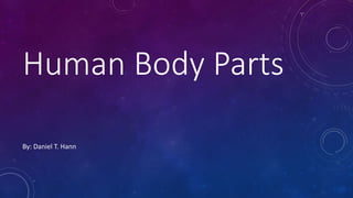 Human Body Parts
By: Daniel T. Hann
 
