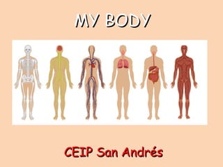 MY BODYMY BODY
CEIP San AndrésCEIP San Andrés
 