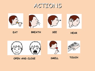 ACTIONSACTIONS
EAT BREATH SEE HEAR
OPEN AND CLOSE SMELL TOUCH
 