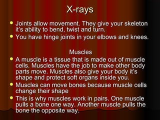 X-rays
 Joints allow movement. They give your skeleton

it’s ability to bend, twist and turn.
 You have hinge joints in your elbows and knees.
Muscles
 A muscle is a tissue that is made out of muscle
cells. Muscles have the job to make other body
parts move. Muscles also give your body it’s
shape and protect soft organs inside you.
 Muscles can move bones because muscle cells
change their shape
 This is why muscles work in pairs. One muscle
pulls a bone one way. Another muscle pulls the
bone the opposite way.

 
