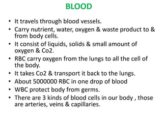 Human body system | PPTX