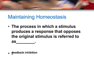 Maintaining Homeostasis
• The process in which a stimulus
  produces a response that opposes
  the original stimulus is referred to
  as________.

• feedback inhibition
 