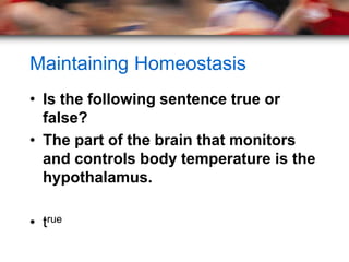 Maintaining Homeostasis
• Is the following sentence true or
  false?
• The part of the brain that monitors
  and controls body temperature is the
  hypothalamus.

• true
 