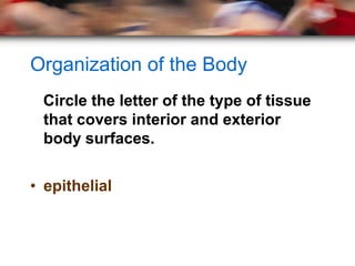 Organization of the Body
 Circle the letter of the type of tissue
 that covers interior and exterior
 body surfaces.


• epithelial
 